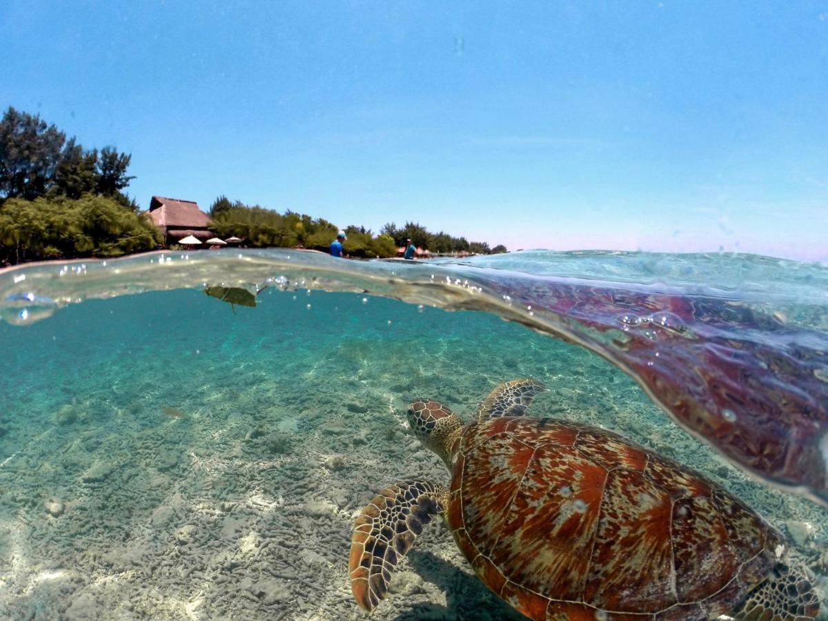 Mimpi Bungalow Gili Meno Luaran gambar